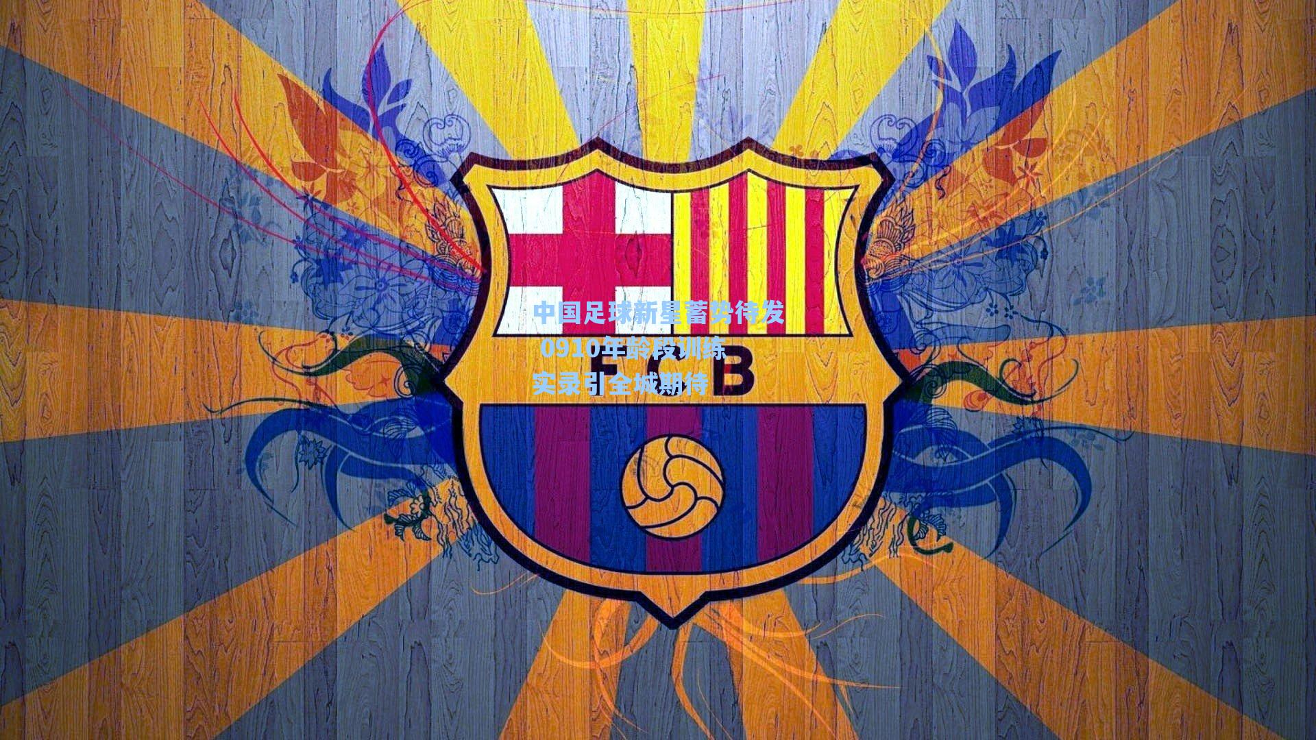 中国足球新星蓄势待发 0910年龄段训练实录引全城期待